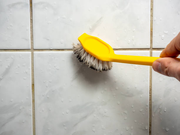 Best Commercial Mold Removal  in Holley, FL